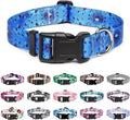 Mercano Adjustable Dog Collar - Special Design Patterns, Soft Nylon Comfortable Durable Pet Collar for Small Medium Large Dogs (S, Blue Ocean)