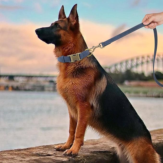 Didog Soft PU Leather Dog Collar, Stylish Quick Released Dog Collar for Large Dogs, Easy Clean Adjustable Pet Collar for Daily Walking, Blue, L Fit 16-22" Neck