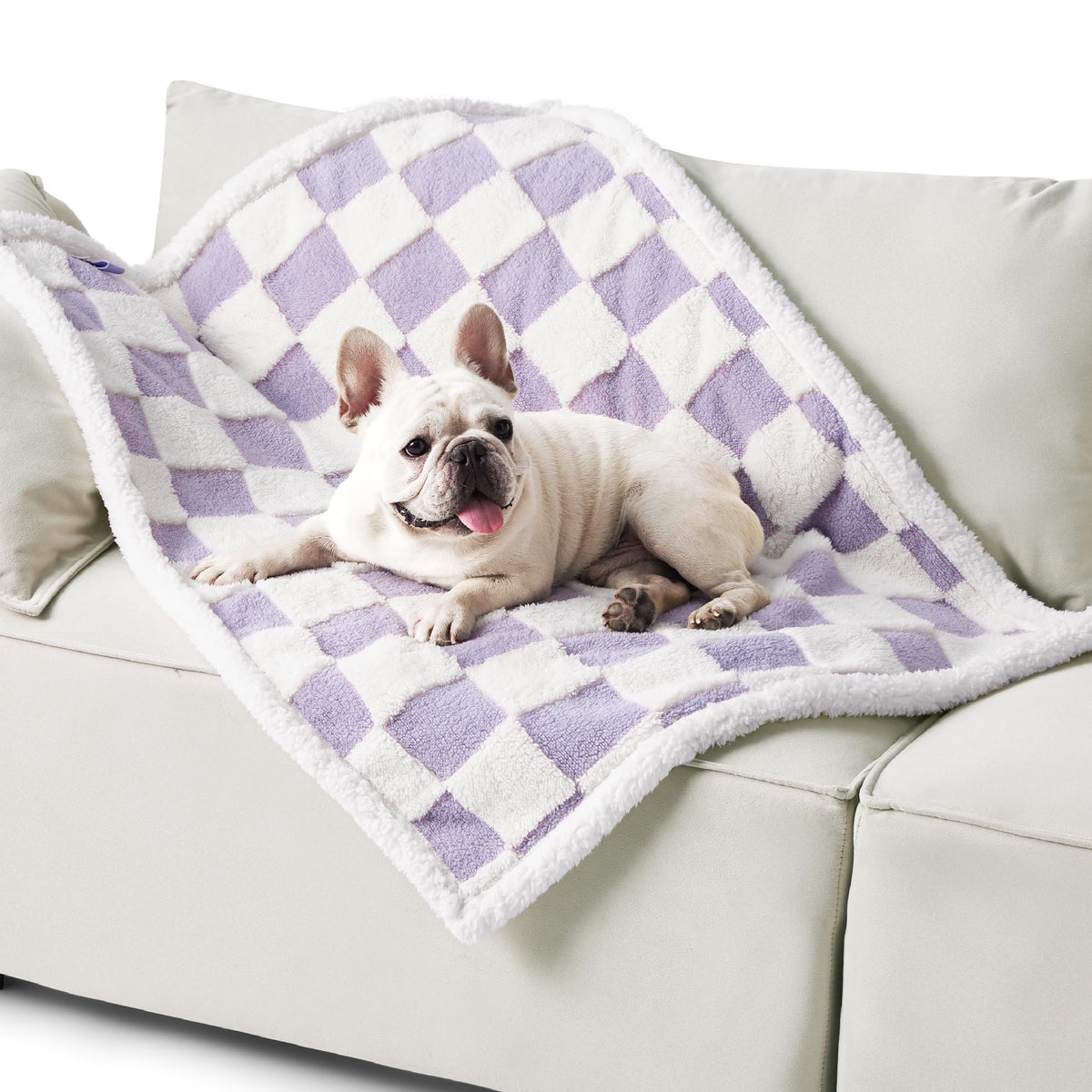 LE SURE Waterproof Dog Blankets for Small Dogs Cute Cozy 3D Jacquard,25x35