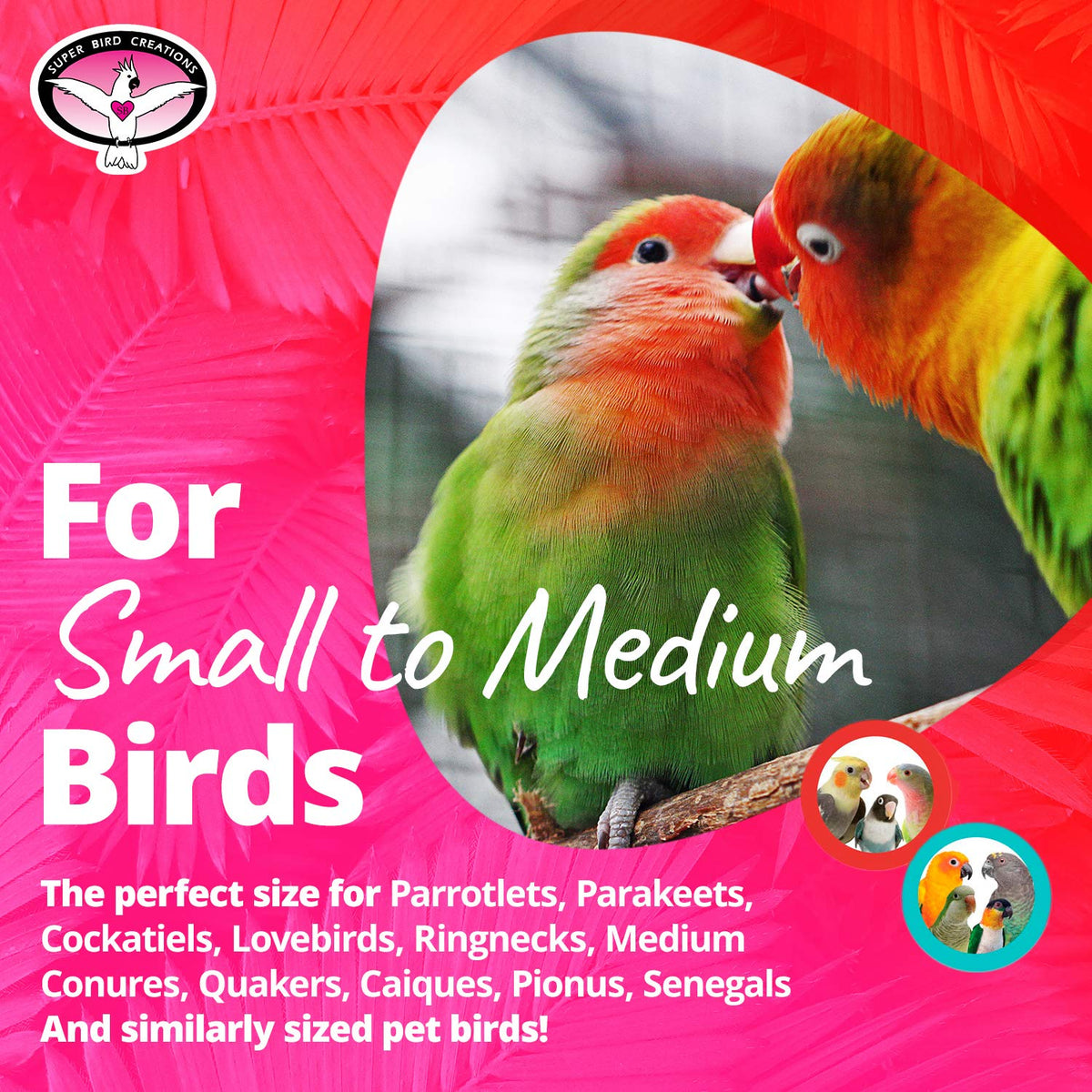 Super Bird Creations SB1083 Binky Bop Bird Toy - Engaging Enrichment Toy for Parrotlets, Parakeets, Cockatiels Toys, Small Plastic Bird Toys with Charms, Ideal for Medium Bird Size, 7.5" x 1.5"