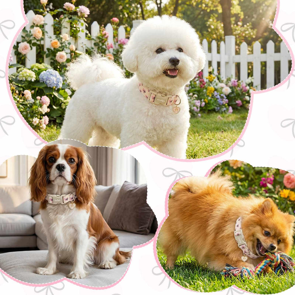 Astdogio Bow Dog Collar with Pink Heart, Adjustable Cotton Dog Collar for Small Medium Large Dogs, Cute Puppy Collar for Girl Boy Dogs, Ideal for Gifts,Pet Accessory,L