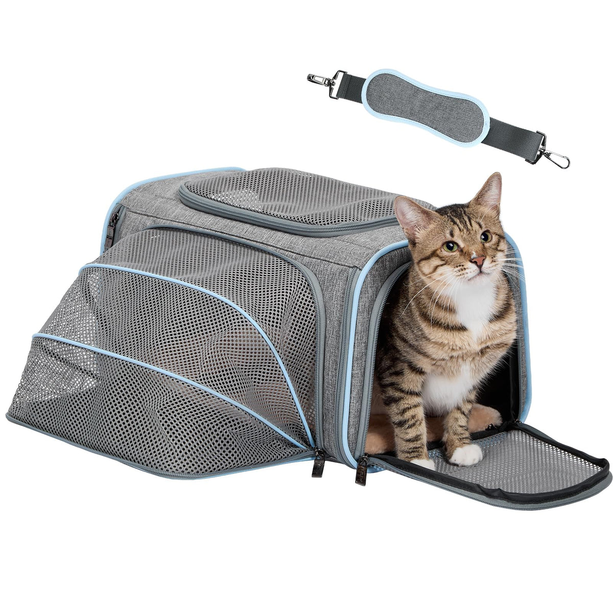 Petsfit Small Expandable Cat Carrier for Air Travel, Up to 9 lb