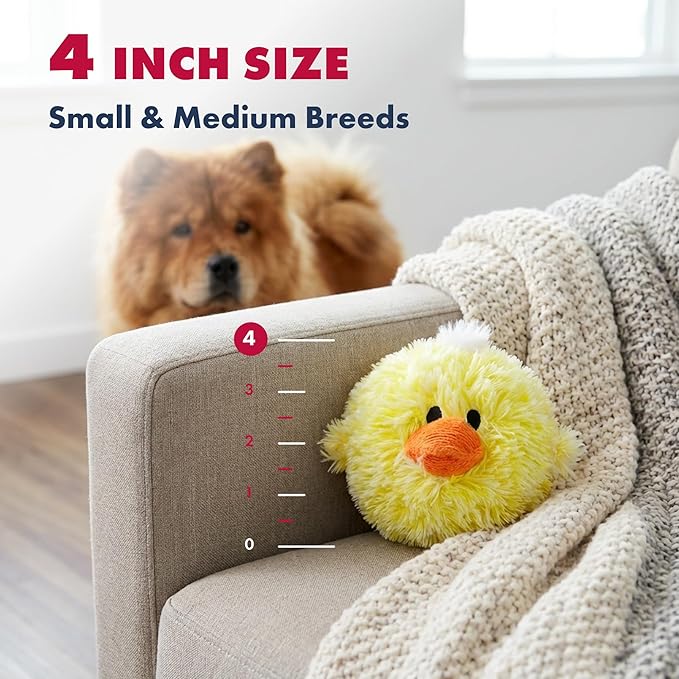 PetLou D.O.G'Z 4-inch EZ Squeaky Chick Dog Plush Toy,Durable Squeaks Bouncy Ball Dog Toy