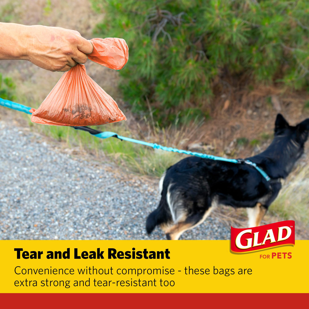 Glad for Pets Scented Dog Poop Bags, Tropical Breeze Scent, 90 Count