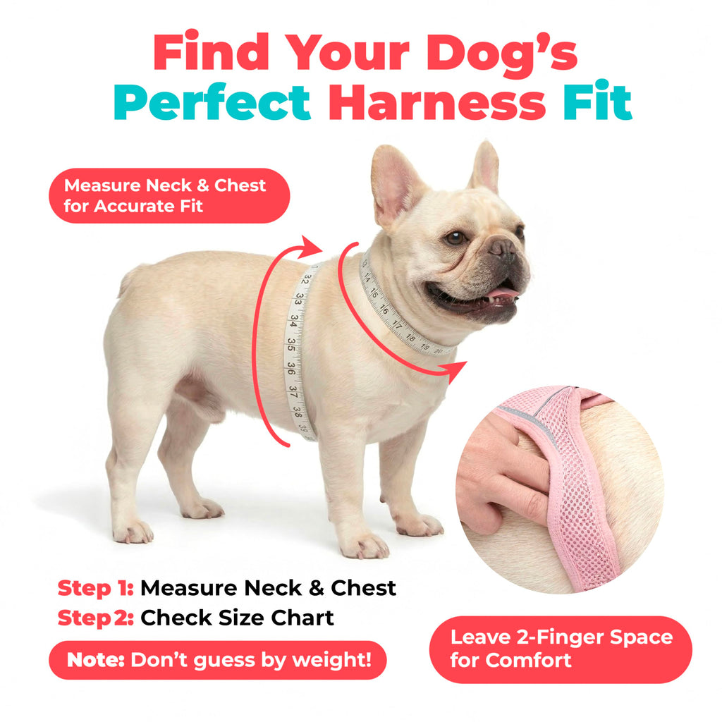 Voyager Step-in Air Dog Vest Harness - Lime Green, XXX-Small