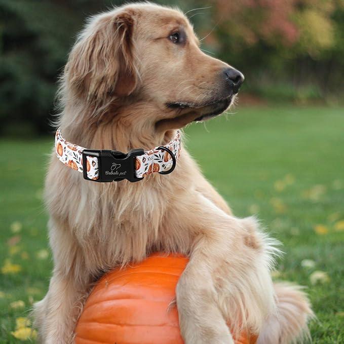 Babole Pet Fall Dog Collar, Cute Orange Pumpkin Pattern Puppy Collar, Soft Comfort Adjustable Holiday Thanksgiving Dog Collars for Small Medium Large Boy&Girl Dogs L