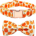 Bobo Rainbow Dog Collar - Halloween Pumpkin Bowtie Dog Collars Gift Soft Bow Collar Pet Adjustable Metal Buckle Pet Collar for Small Dogs