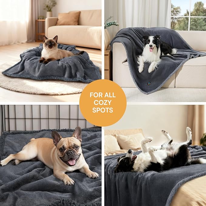 Luciphia Waterproof Pet Blanket, Liquid Pee Proof Dog Blanket for Sofa Bed Couch, Reversible Sherpa Fleece Furniture Protector Cover for Small Medium Large Dogs Cats, Dark Gray Queen Size（90" x 82"）