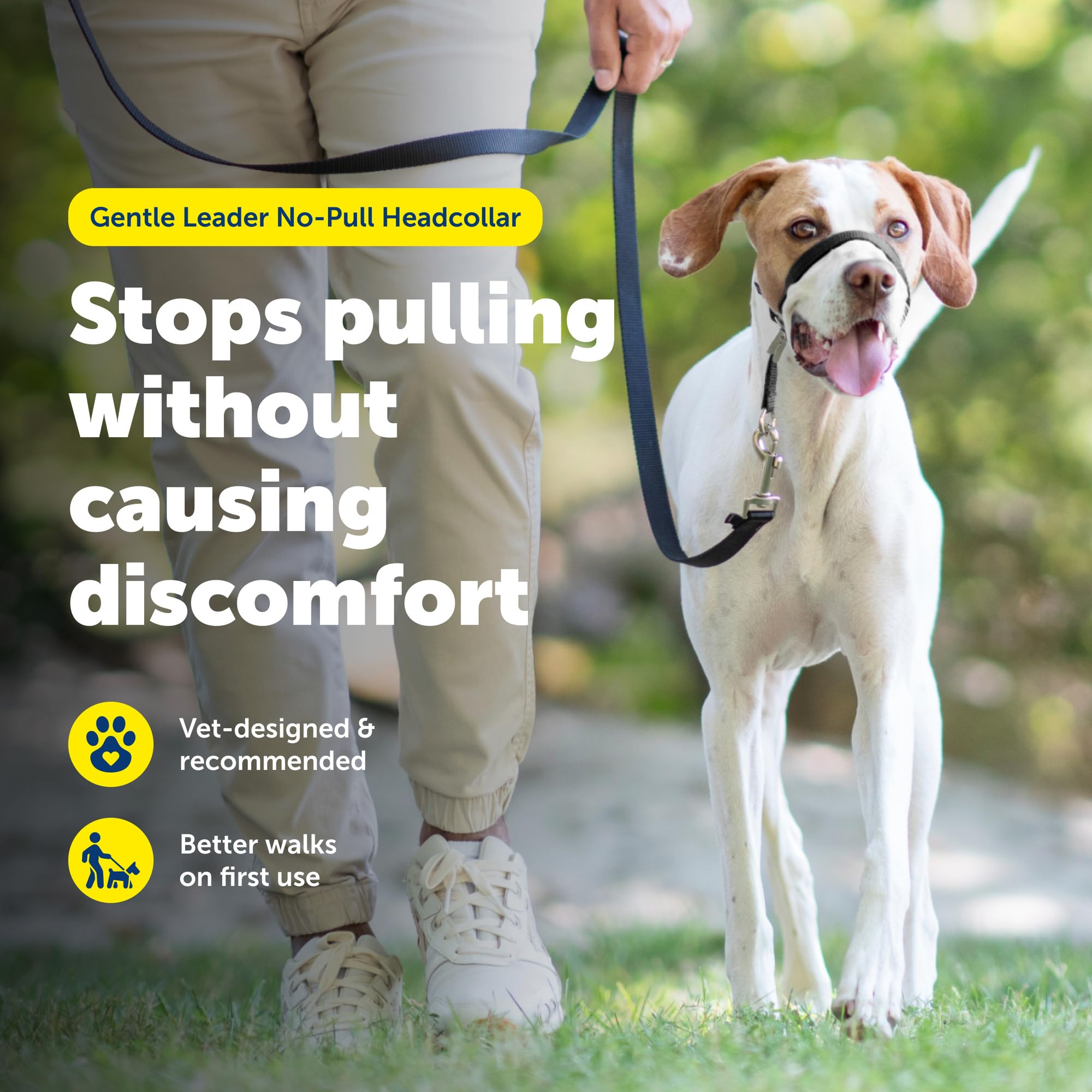 PetSafe Gentle Leader No-Pull Dog Headcollar - The Ultimate Solution to Pulling - Redirects Your Dog's Pulling for Easier Walks - Helps You Regain Control - Medium, Apple Green