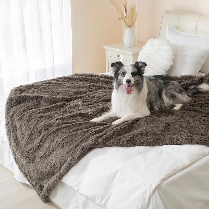gogobunny Waterproof Dog Blanket for Couch & Furniture Protection - Super Soft Reversible Throw for Large Dogs & Cats, Calming Washable Fur & Sherpa Pet Blanket (60x80 Inch, Stone)
