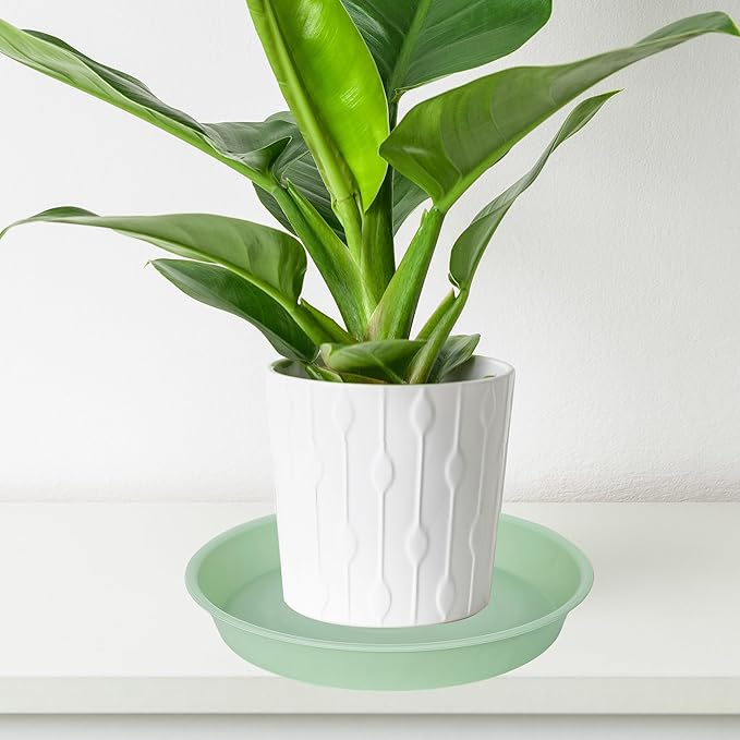 Bleuhome 6 Pack of 10 inch Plant Saucer Blue, Heavy Duty Plastic Plant Saucer 10 inch Round, Flower Plant Saucers for Indoors, Plant Trays for Planter 8"/9"/10" (10", Light Green)