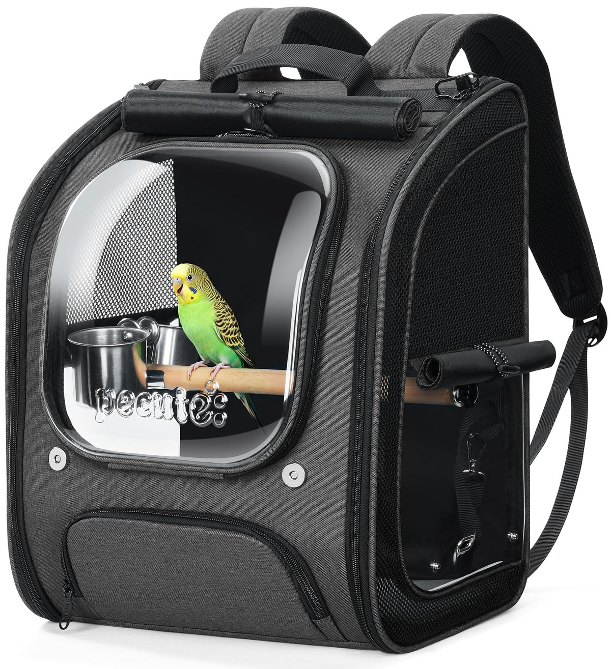 Pecute Bird Backpack Carrier with Standing Perch for Small Parrot, Green