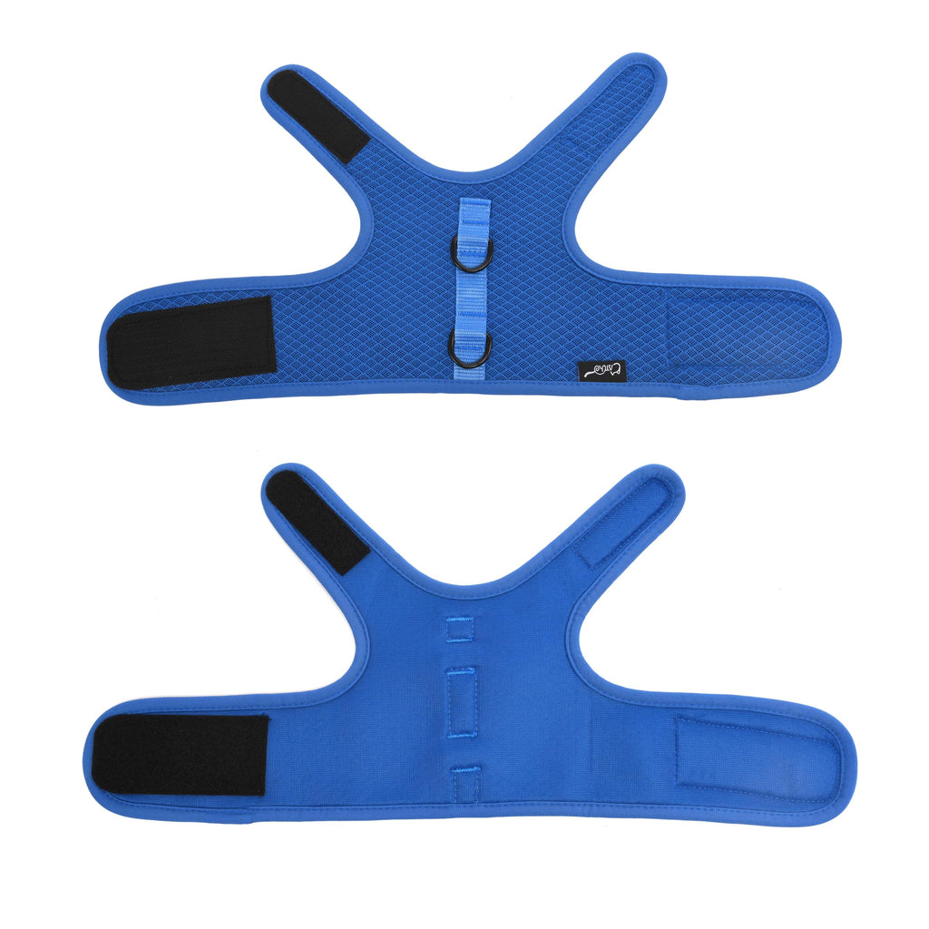 Cat Harness and Leash Set for Walking Escape Proof, Blue, X-Small