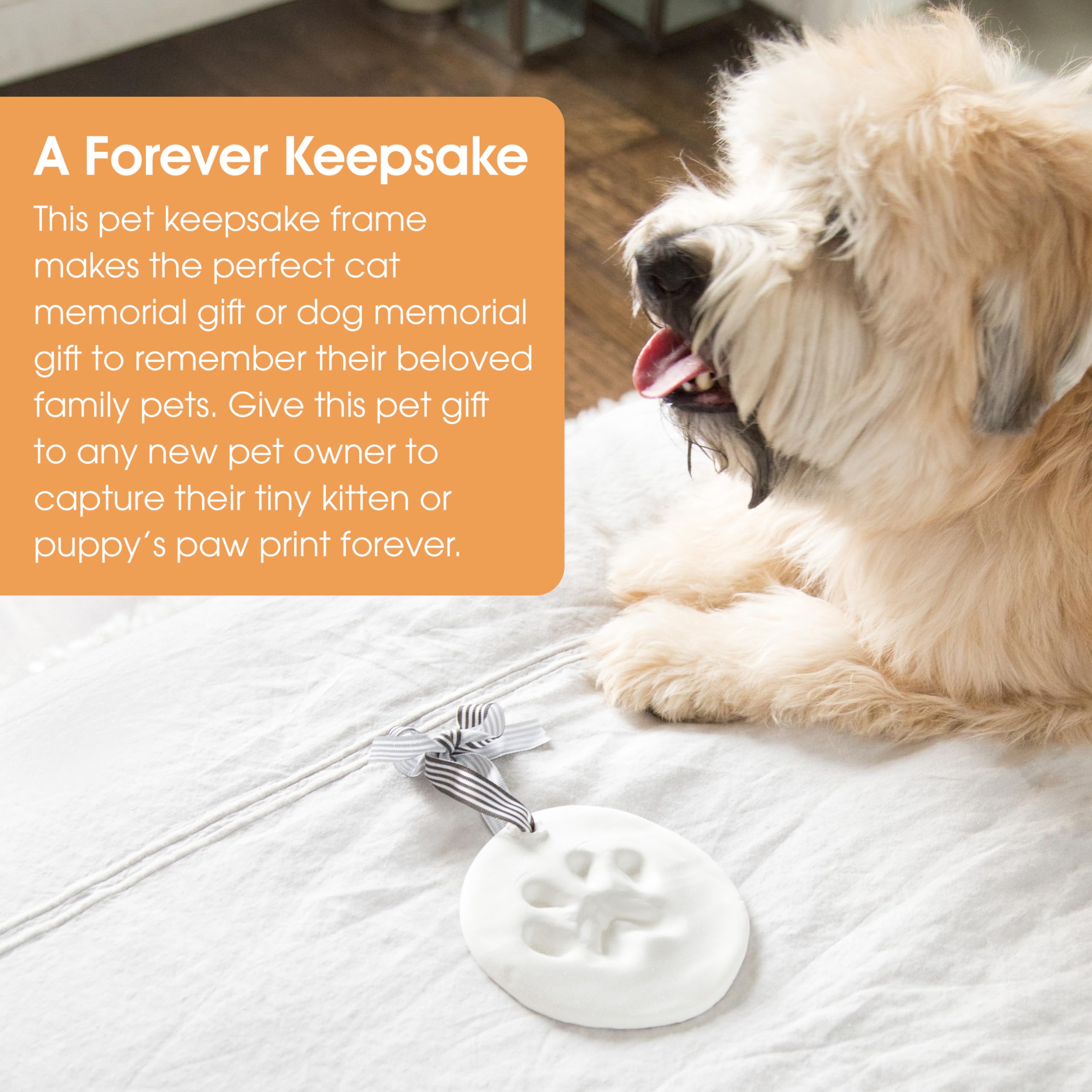 Pearhead Pet Paw Print Keepsake Ornament Kit, No-Bake Clay Kit
