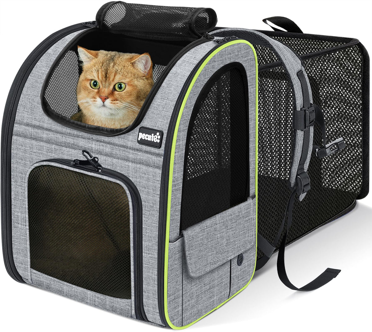 pecute Cat Backpack Expandable, Cat Carrier Backpack with Acrylic Window