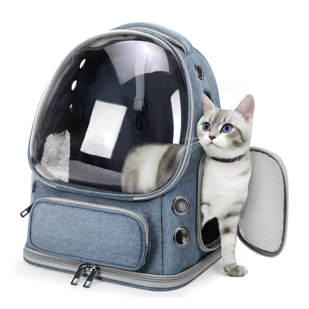Breathable Cat Backpack Carrier, Large Space Cat Bubble Backpack for Kitty & Small Dog up to 18lbs, Foldable Cat Carrier Backpack, Transparent Airline Approved Carrier for Travel (Black)