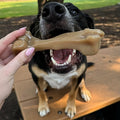Nylabone Strong Chew Gourmet Style Knuckle Bone Dog Chew Toy, X-Large