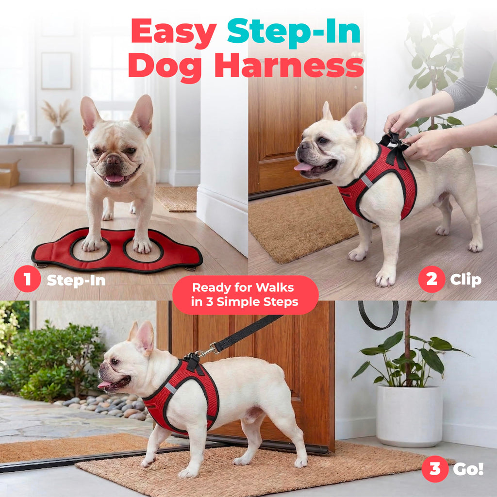 Voyager Step-in Air Dog Vest Harness - Red/Black Trim, Large