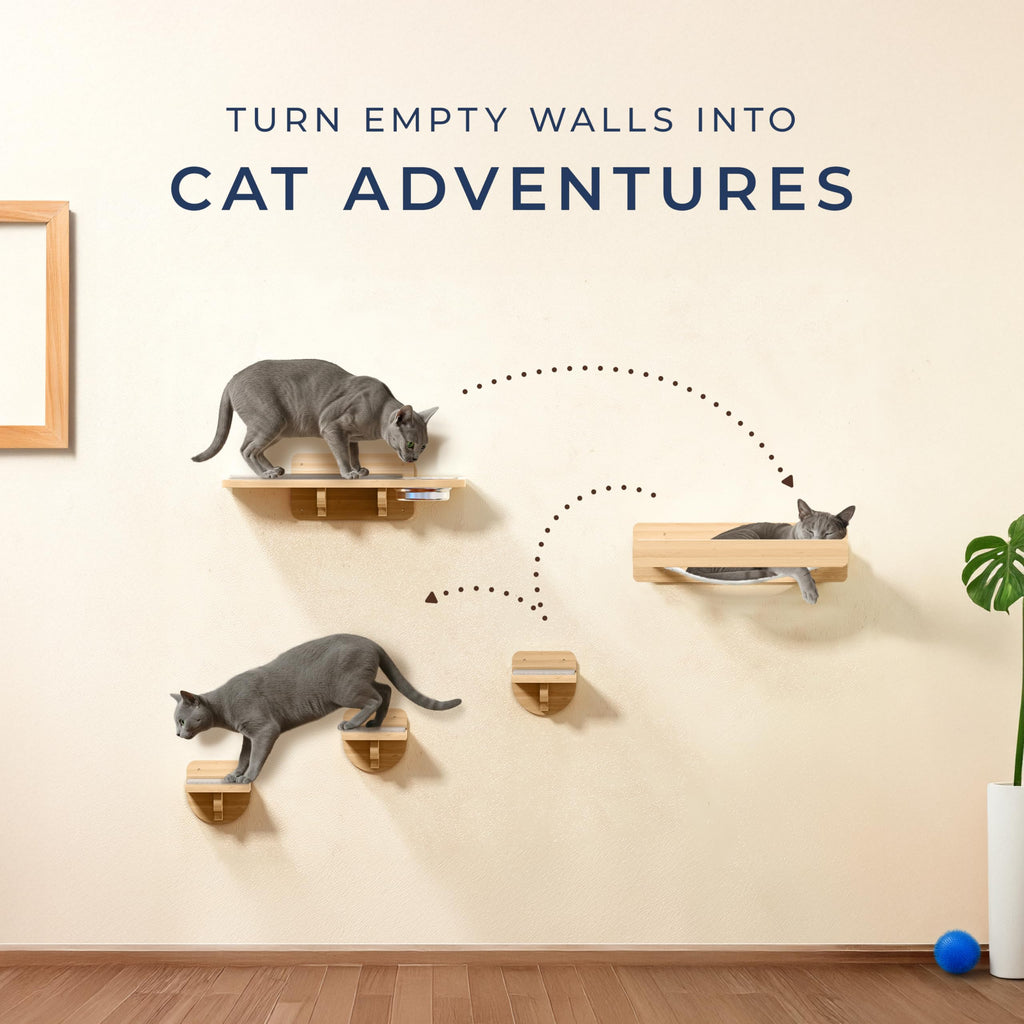 PATHOSIO PETS Space-Saving Cat Wall Shelves – Interactive Cat Wall Climber with Hammock & Dog Proof Feeding Station for Small & Medium Indoor Breeds – Solid Natural Wood with Beige Carpet