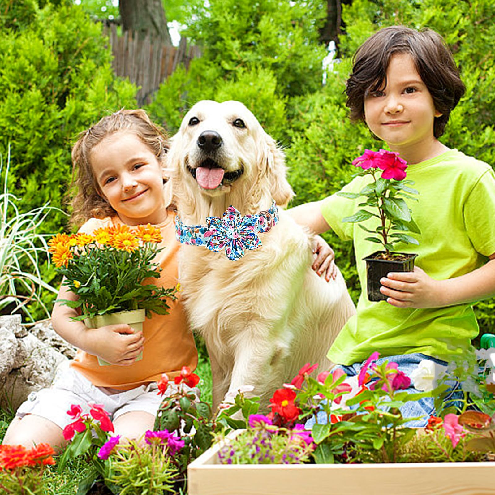 Lionheart Glory Floral Dog Collar - Cute, Soft & Durable Adjustable Collar for Small Dogs