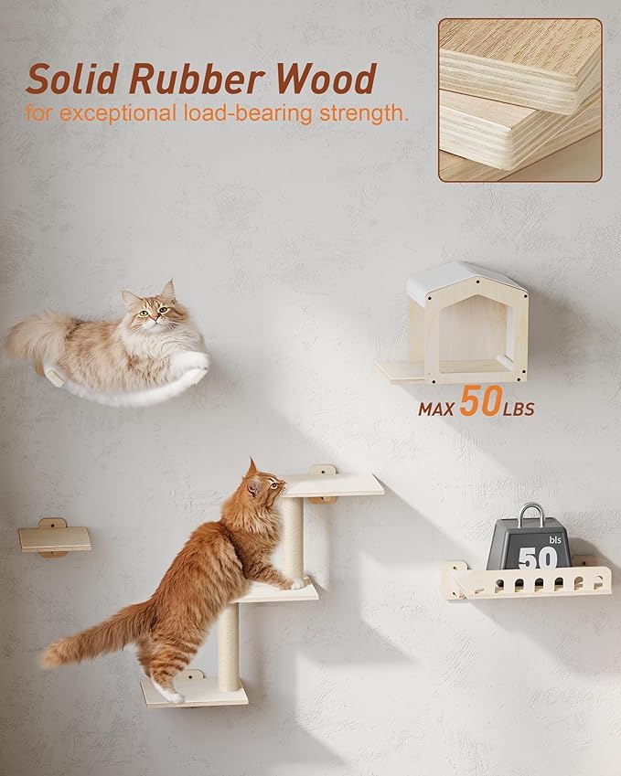 KinoTail 5-in-1 Cat Wall Shelves for Large Cat, Large Hammock, Wide Perch