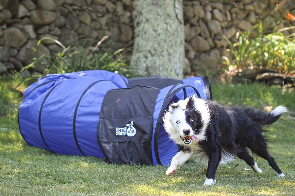 Better Sporting Dogs 16 Foot Dog Agility Tunnel