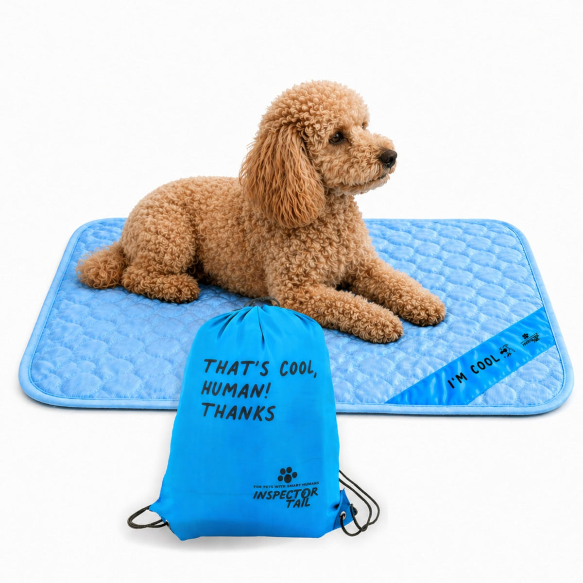 INSPECTOR TAIL Dog Cooling Mat, Indoor & Outdoor, Medium Self Cooling Pad
