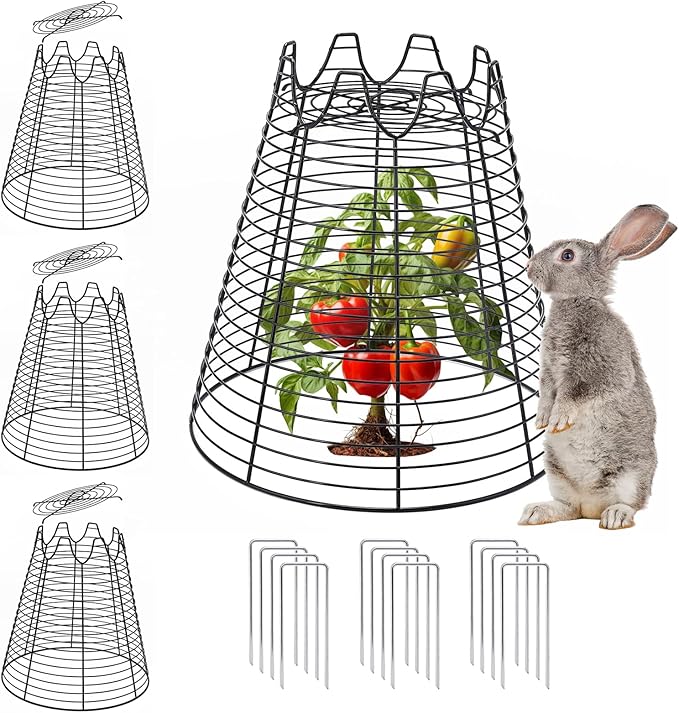 Qaobo 4 Pcs 11.6"×11.6" Plant Protectors from Animals, Sturdy Metal Plant Cages for Outdoor Plants, Reusable Wire Garden Cloches, Plant Protector to Keep Squirrels, Rabbits, Birds, Black