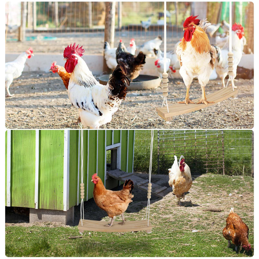 Qinfly Arc-Shaped Chicken Swing Enrichment Toys for Coop Accessories