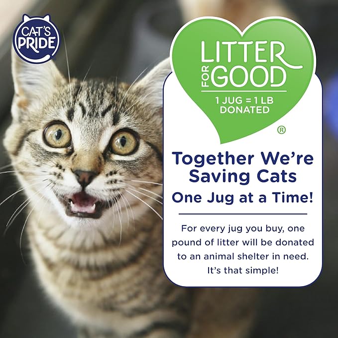 Cat's Pride Flushable Lightweight Scented Clumping Litter 10lb