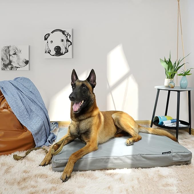 Explore Land Waterproof Dog Bed Cover Canvas Washable Dog Crate Pad Replacement Cover for 36 Inch Crate, 34Lx22Wx3.5H inch, Gray