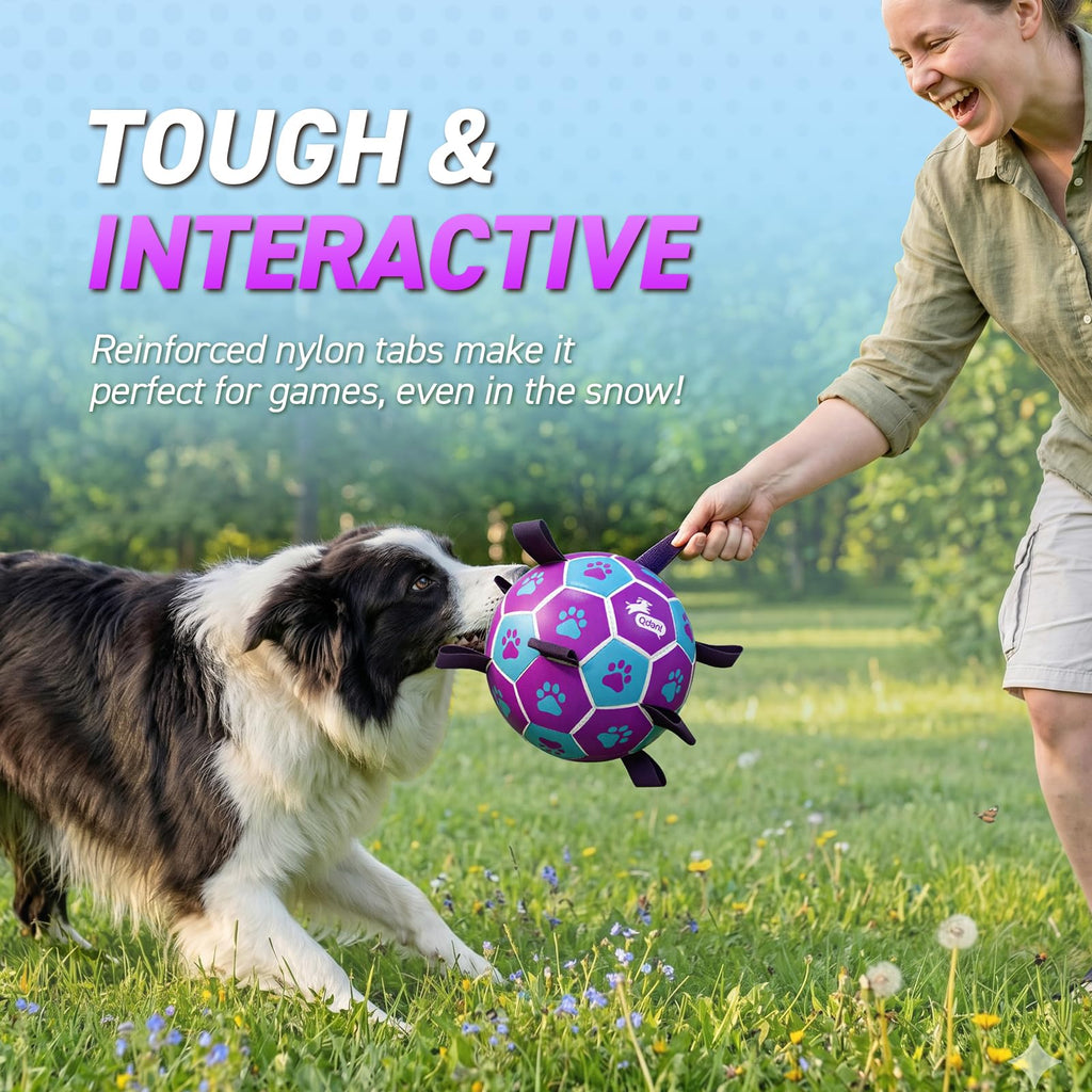 QDAN Dog Toy Soccer Ball, Durable Dog Balls for 30-90 lbs Small Medium Dogs