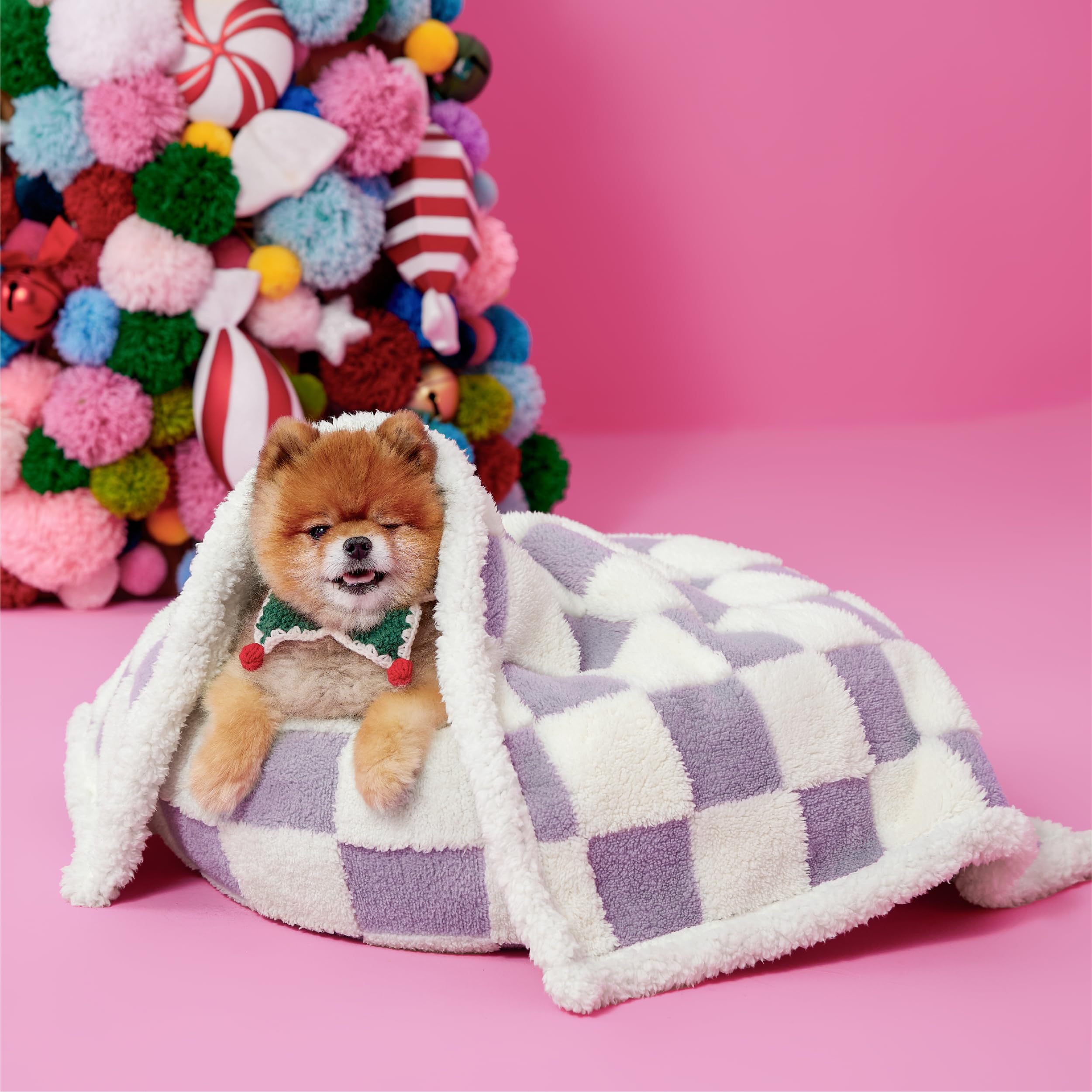 LE SURE Waterproof Dog Blankets for Small Dogs Cute Cozy 3D Jacquard,25x35