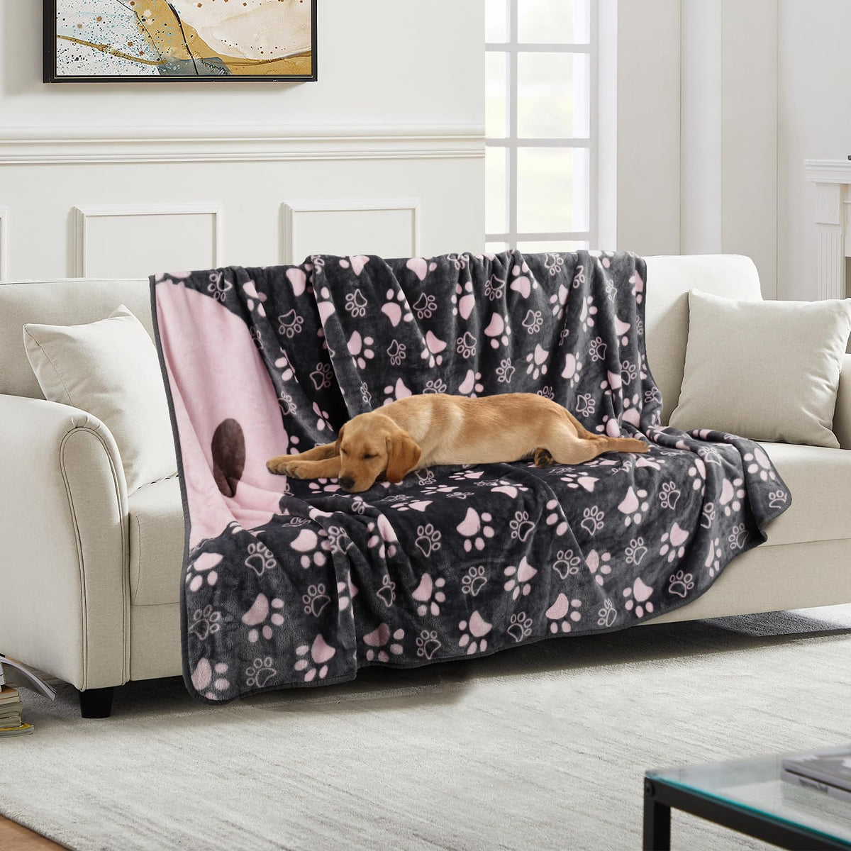 Gowyeg Dog Blanket for Small Medium Dogs 41"x31", Soft Reversible Cute Paw