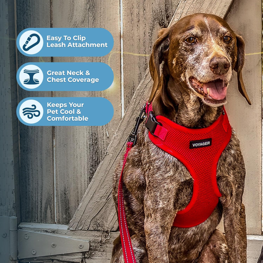 Voyager Step-in Lock Dog Harness - Red, X-Large