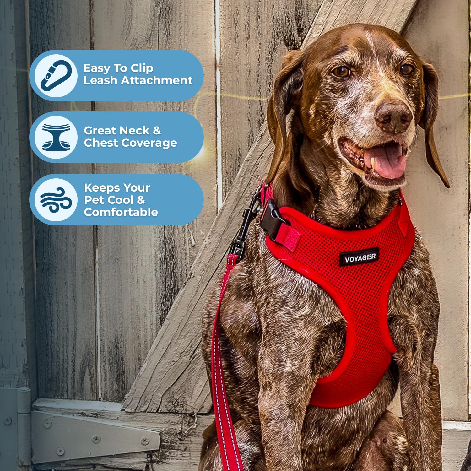 Voyager Step-in Lock Dog Harness - Red, X-Large