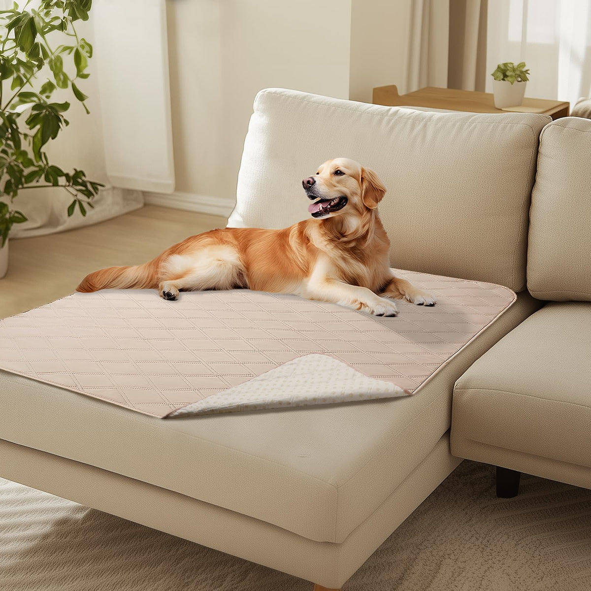 Luciphia Waterproof Couch Cover for Dogs, Non-Slip Pet Sofa Protector