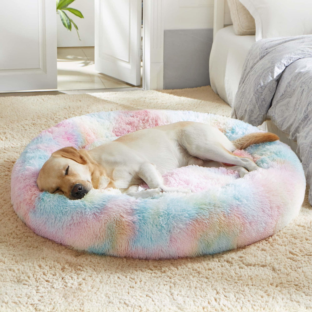 Western Home Calming Donut Small Dog Cat Bed Washable Puppy Bed,24" Rainbow