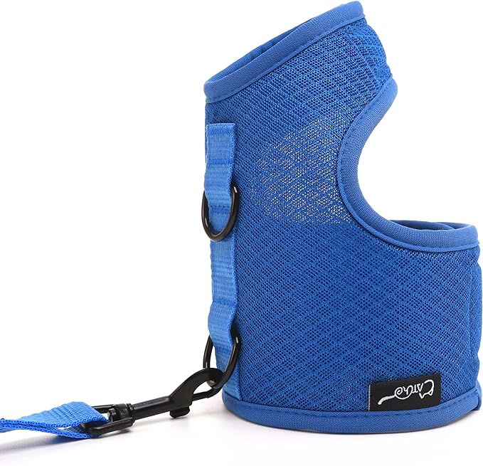 Cat Harness and Leash Set for Walking Escape Proof, Blue, X-Small