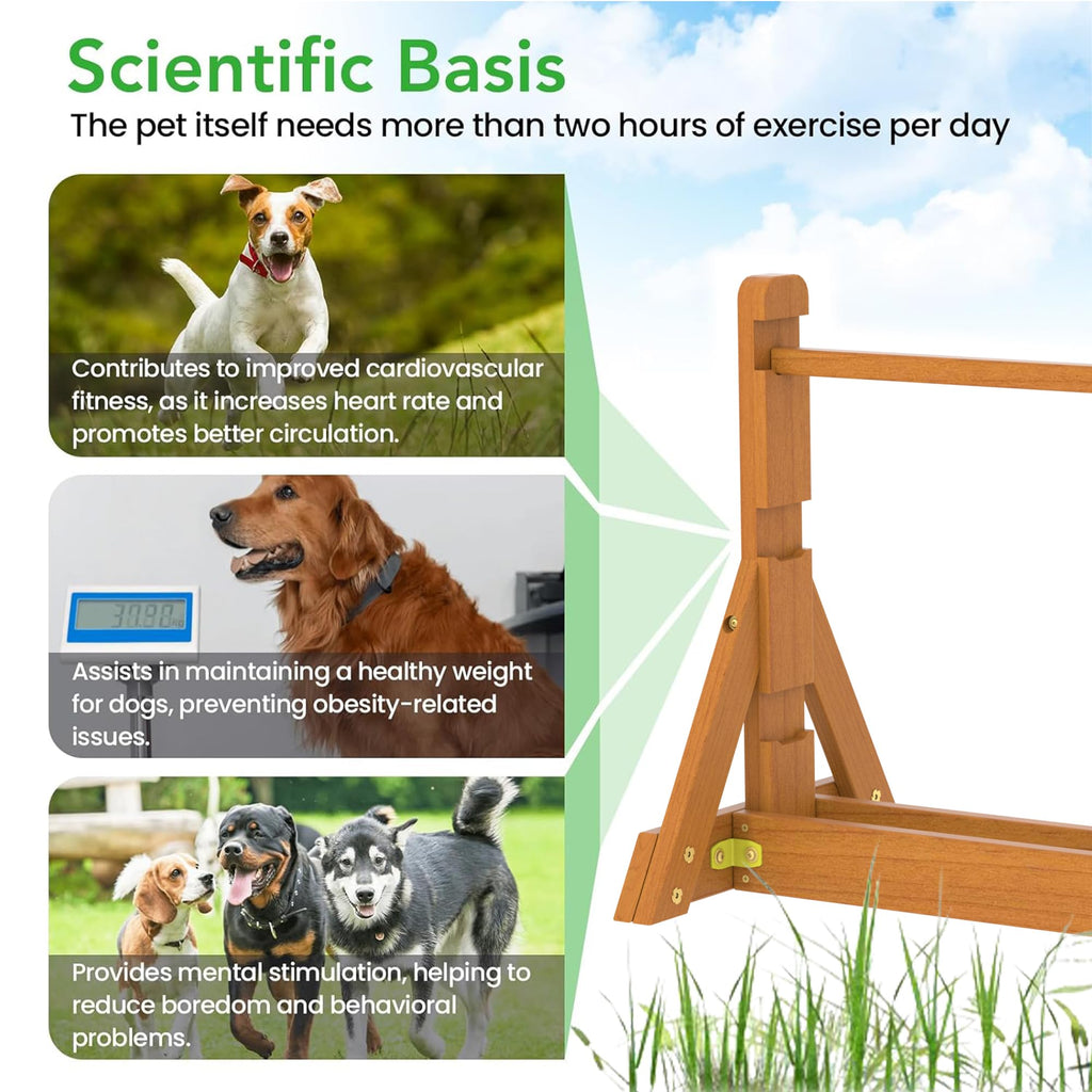 SuniBoxi Dog Agility Set, Wooden Dog Agility Jumps & Dog Hurdles,Dog Agility Equipment