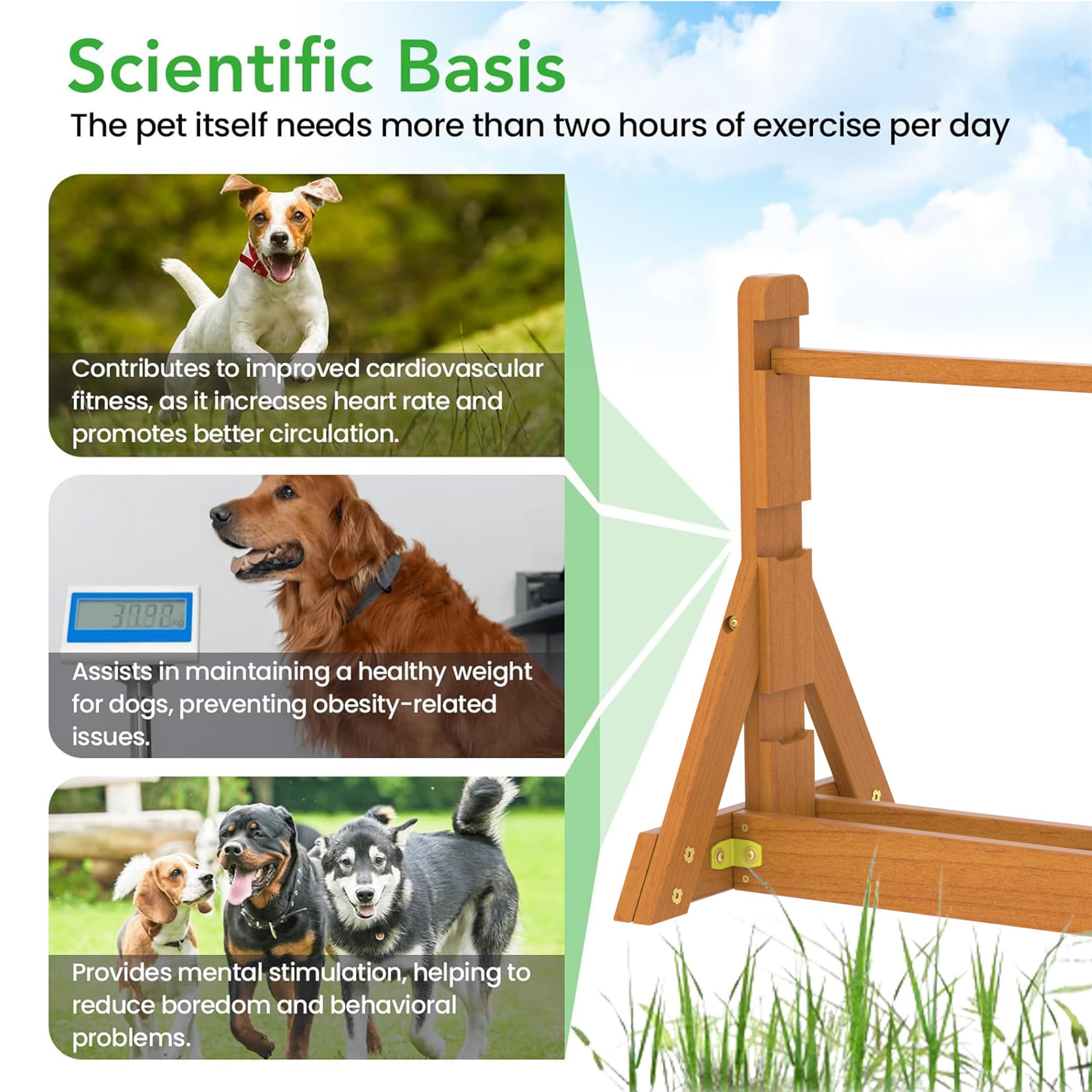 SuniBoxi Dog Agility Set, Wooden Dog Agility Jumps & Dog Hurdles,Dog Agility Equipment