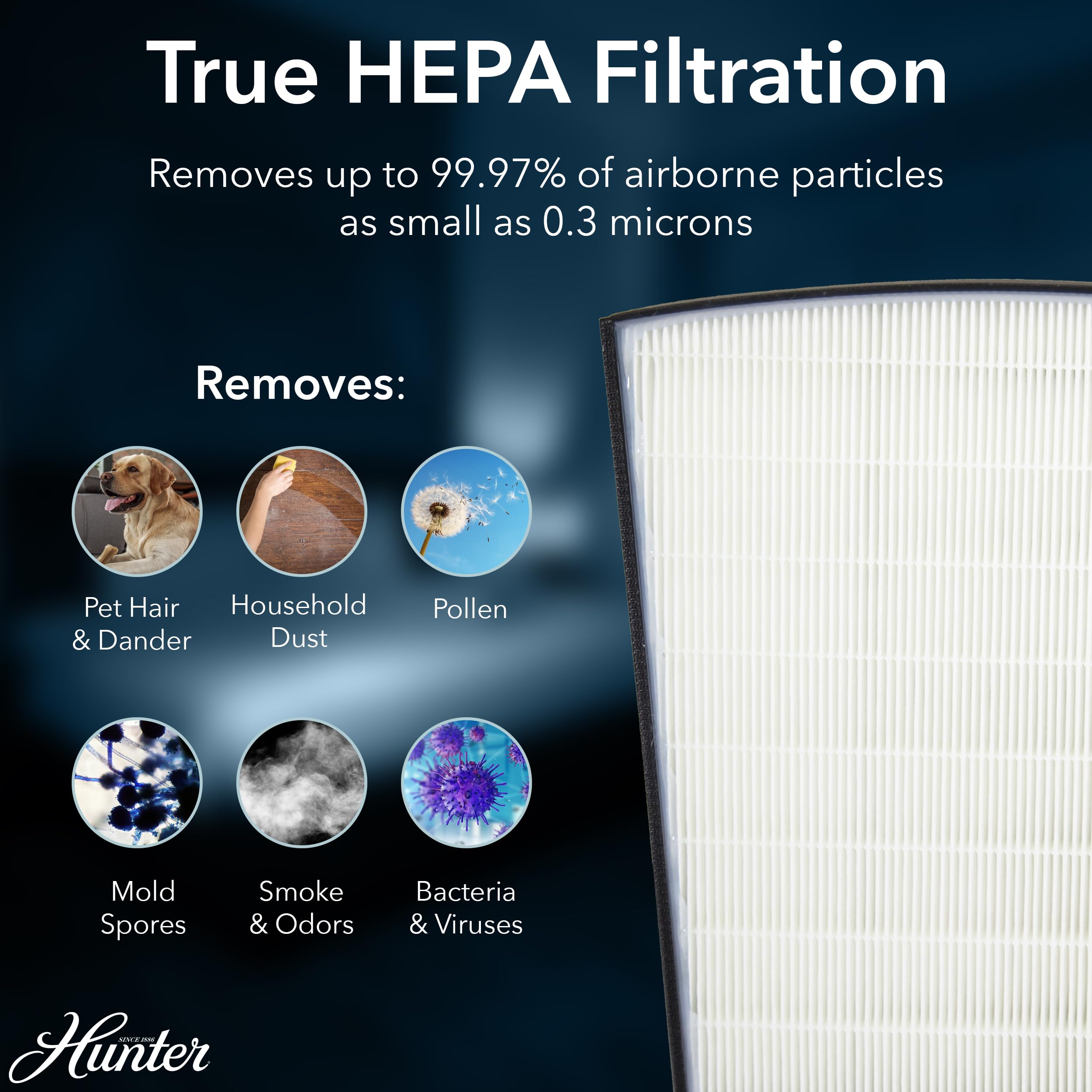Hunter HP800 Air Purifier for Home Large Room for Pets, Odors, Gray
