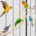 DBNESS 5in1 Bird Toys, Birdie Perches Platform Swing with Stainless Steel Feeding Cup Climbing Ladder, Wooden Play Gym for Cockatiels Lovebirds Budgies Pacific Parrotlets Finch Canaries