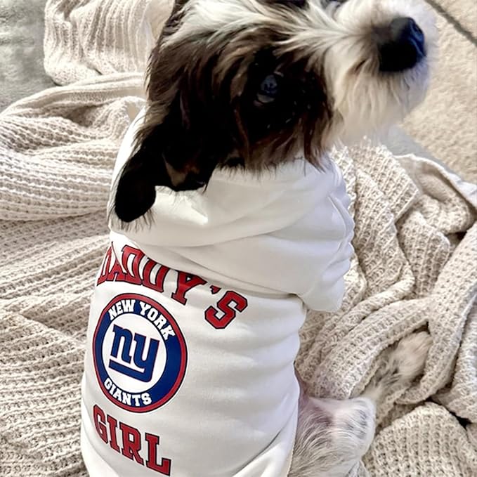 Personalized Name Dog Hoodie, Print Hoodies Pets Name, Custom Pet Memorial, Bright Puppy Sweatshirt, Customized Pet Clothes Warm Winter Outfit for Dogs, Gift for Dog Lovers Style 1