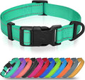 Joytale Small Dog Collar, Reflective and Adjustable Nylon Collar with Quick-Release Buckle, Lightweight No-Choke Design for Small Dogs, Teal, 3/4" Width