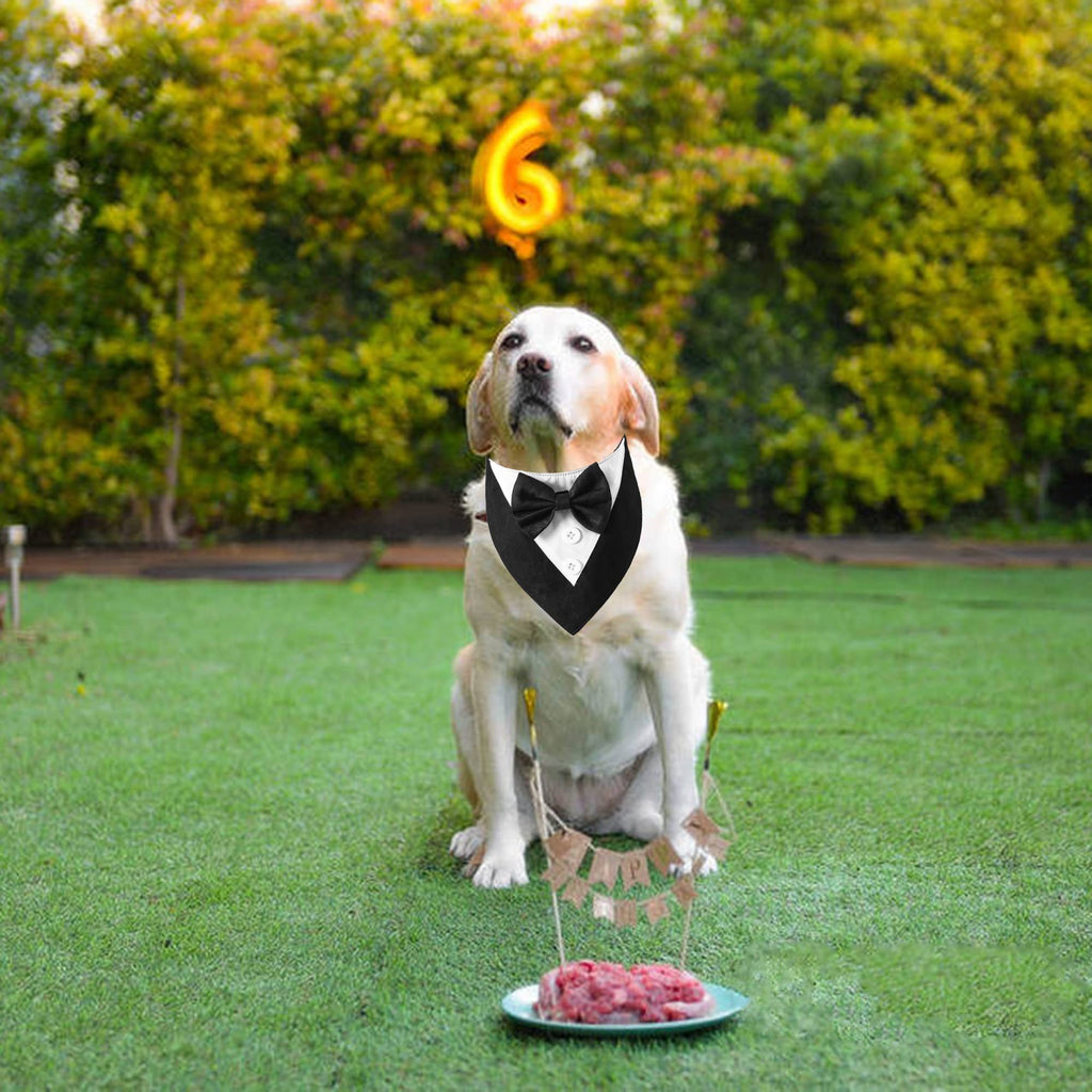ADOGGYGO Dog Tuxedo Bandana, Wedding Birthday Dog Bow Tie, Black, Large
