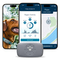 Purina Petivity Dog GPS Tracker Collar, Activity and Real Time Tracking
