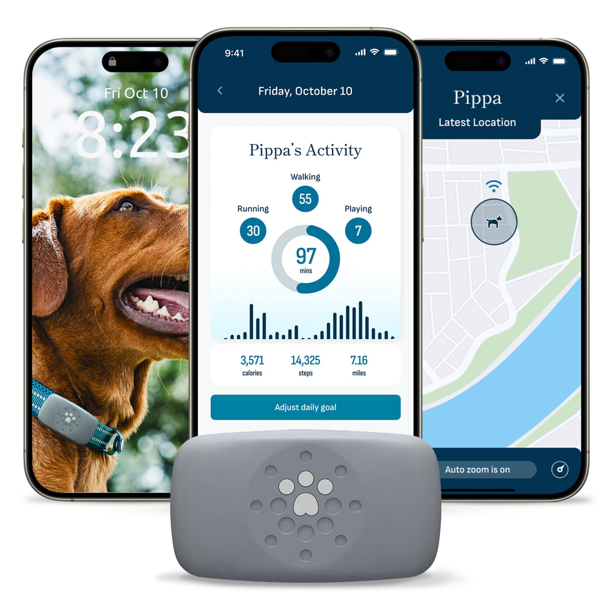 Purina Petivity Dog GPS Tracker Collar, Activity and Real Time Tracking