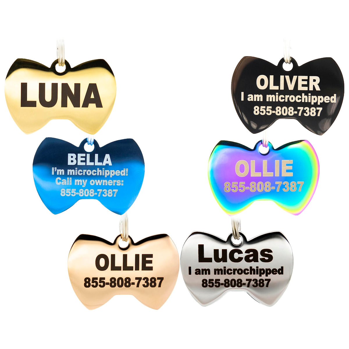 Engraved Dog Tags Personalized - Stainless Steel Engraved Dog Cat ID Tags Front & Back up to 8 Lines of Text Color Plating Gold, Rose Gold, Blue, Black, Nebula by PetANTastic