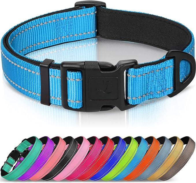 Joytale Reflective Dog Collar, Adjustable Neoprene Padded, Sky Blue XL